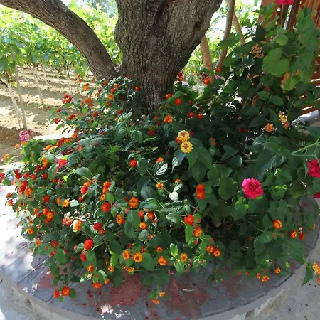 Apartment Tosis Svoronata
