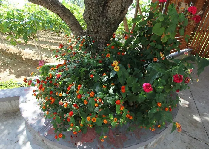 Appartamento Tosis Svoronata